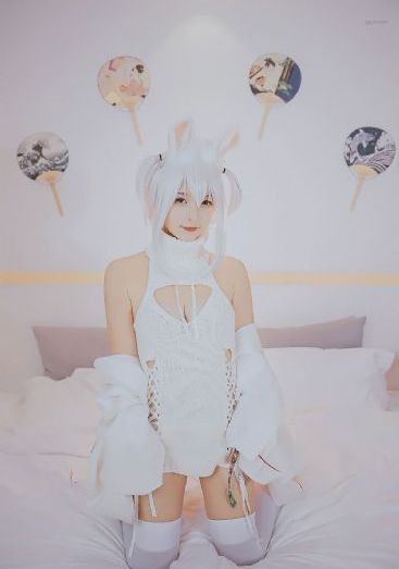 大理寺少卿游